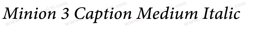 Minion 3 Caption Medium Italic字体转换